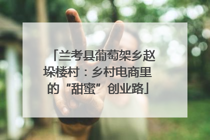 兰考县葡萄架乡赵垛楼村：乡村电商里的“甜蜜”创业路