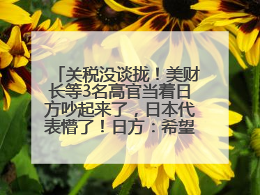 关税没谈拢！美财长等3名高官当着日方吵起来了，日本代表懵了！日方：希望实现石破茂与特朗普的会晤