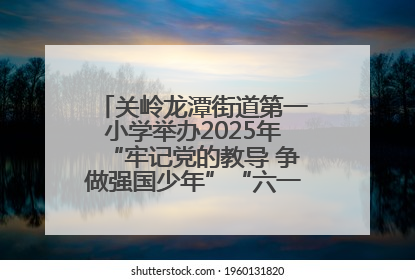 关岭龙潭街道第一小学举办2025年“牢记党的教导 争做强国少年”“六一”文艺汇演活动