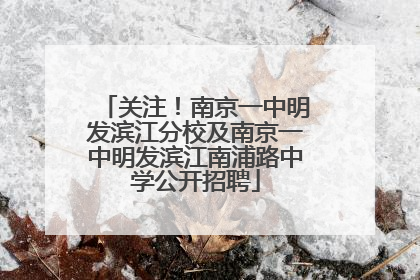 关注！南京一中明发滨江分校及南京一中明发滨江南浦路中学公开招聘