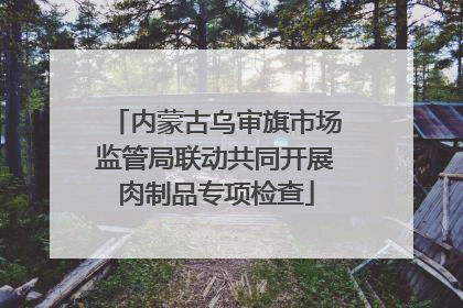 内蒙古乌审旗市场监管局联动共同开展肉制品专项检查