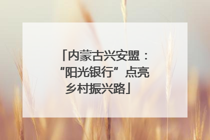 内蒙古兴安盟：“阳光银行”点亮乡村振兴路