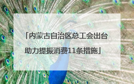 内蒙古自治区总工会出台助力提振消费11条措施