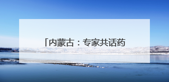 内蒙古：专家共话药品零售行业健康发展