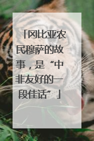 冈比亚农民穆萨的故事，是“中非友好的一段佳话”