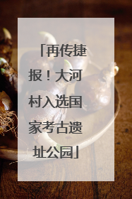 再传捷报！大河村入选国家考古遗址公园