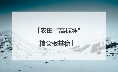 农田“高标准” 粮仓根基稳