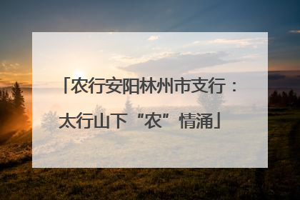 农行安阳林州市支行：太行山下“农”情涌