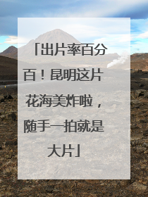 出片率百分百！昆明这片花海美炸啦，随手一拍就是大片