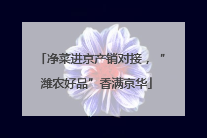 净菜进京产销对接，“潍农好品”香满京华