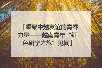 凝聚中越友谊的青春力量——越南青年“红色研学之旅”见闻