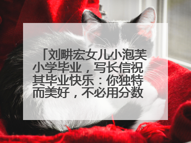 刘畊宏女儿小泡芙小学毕业，写长信祝其毕业快乐：你独特而美好，不必用分数证明自己