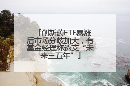 创新药ETF暴涨后市场分歧加大，有基金经理称透支“未来三五年”