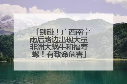 别碰！广西南宁雨后路边出现大量非洲大蜗牛和福寿螺！有致命危害
