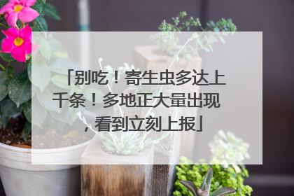 别吃！寄生虫多达上千条！多地正大量出现，看到立刻上报