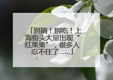 别摘！别吃！上海街头大量出现“红果果”，很多人忍不住了……