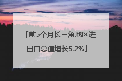 前5个月长三角地区进出口总值增长5.2%
