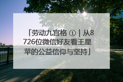 劳动九宫格 ①｜从8726位微信好友看王星苹的公益信仰与坚持