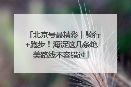 北京号最精彩｜骑行+跑步！海淀这几条绝美路线不容错过