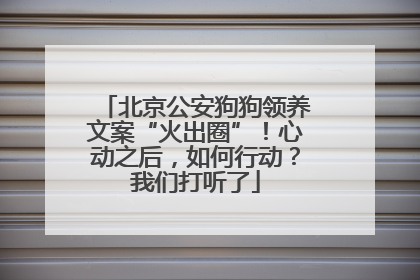 北京公安狗狗领养文案“火出圈”！心动之后，如何行动？我们打听了