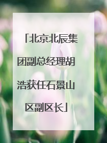 北京北辰集团副总经理胡浩获任石景山区副区长