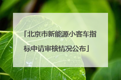 北京市新能源小客车指标申请审核情况公布
