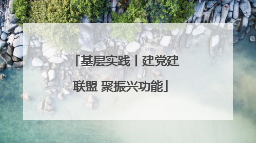 基层实践丨建党建联盟 聚振兴功能