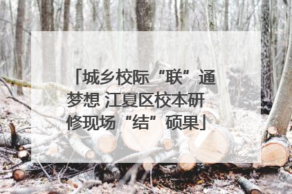 城乡校际“联”通梦想 江夏区校本研修现场“结”硕果