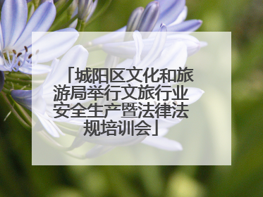 城阳区文化和旅游局举行文旅行业安全生产暨法律法规培训会