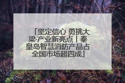 坚定信心 勇挑大梁·产业新亮点丨秦皇岛智慧消防产品占全国市场超四成