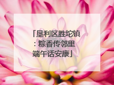 垦利区胜坨镇：粽香传邻里 端午话安康