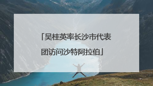 吴桂英率长沙市代表团访问沙特阿拉伯