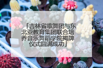 吉林省歌舞团与东北亚教育集团联合培养音乐舞蹈学院揭牌仪式圆满成功