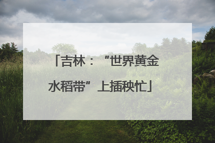吉林：“世界黄金水稻带”上插秧忙