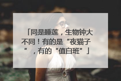 同是睡莲，生物钟大不同！有的是“夜猫子”，有的“值白班”