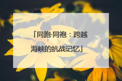 同胞·同袍：跨越海峡的抗战记忆