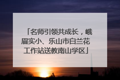 名师引领共成长，峨眉实小、乐山市白兰花工作站送教南山学区