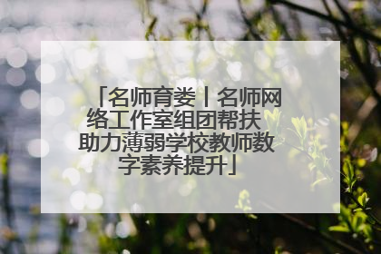 名师育娄丨名师网络工作室组团帮扶 助力薄弱学校教师数字素养提升
