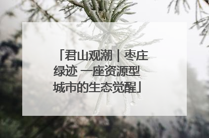 君山观潮｜枣庄绿迹 一座资源型城市的生态觉醒