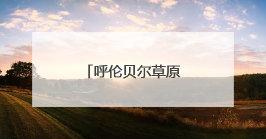 呼伦贝尔草原上狼崽撒欢儿