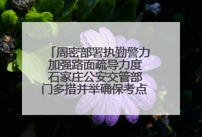 周密部署执勤警力 加强路面疏导力度 石家庄公安交管部门多措并举确保考点周边交通环境良好