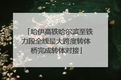 哈伊高铁哈尔滨至铁力段全线最大跨度转体桥完成转体对接