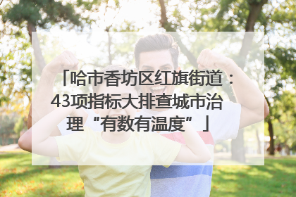 哈市香坊区红旗街道：43项指标大排查城市治理“有数有温度”
