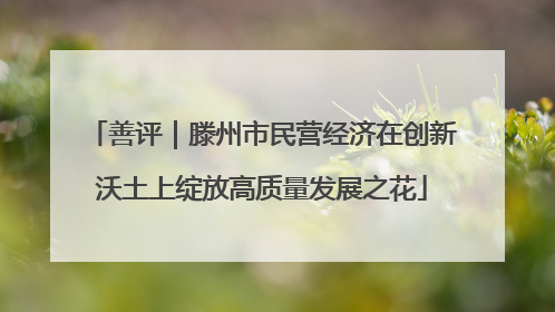 善评｜滕州市民营经济在创新沃土上绽放高质量发展之花