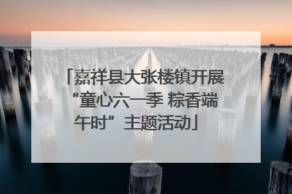 嘉祥县大张楼镇开展“童心六一季 粽香端午时”主题活动