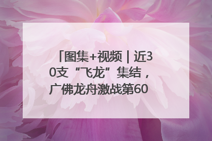 图集+视频｜近30支“飞龙”集结，广佛龙舟激战第60届荔湾“沙溪景”