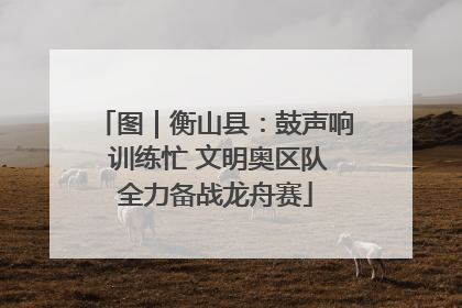 图｜衡山县：鼓声响 训练忙 文明奥区队全力备战龙舟赛