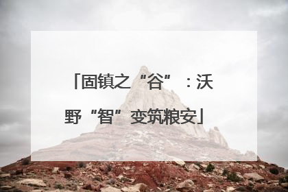 固镇之“谷”：沃野“智”变筑粮安