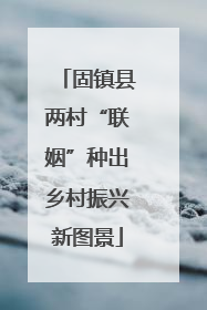 固镇县两村“联姻”种出乡村振兴新图景