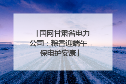 国网甘肃省电力公司：粽香迎端午 保电护安康
